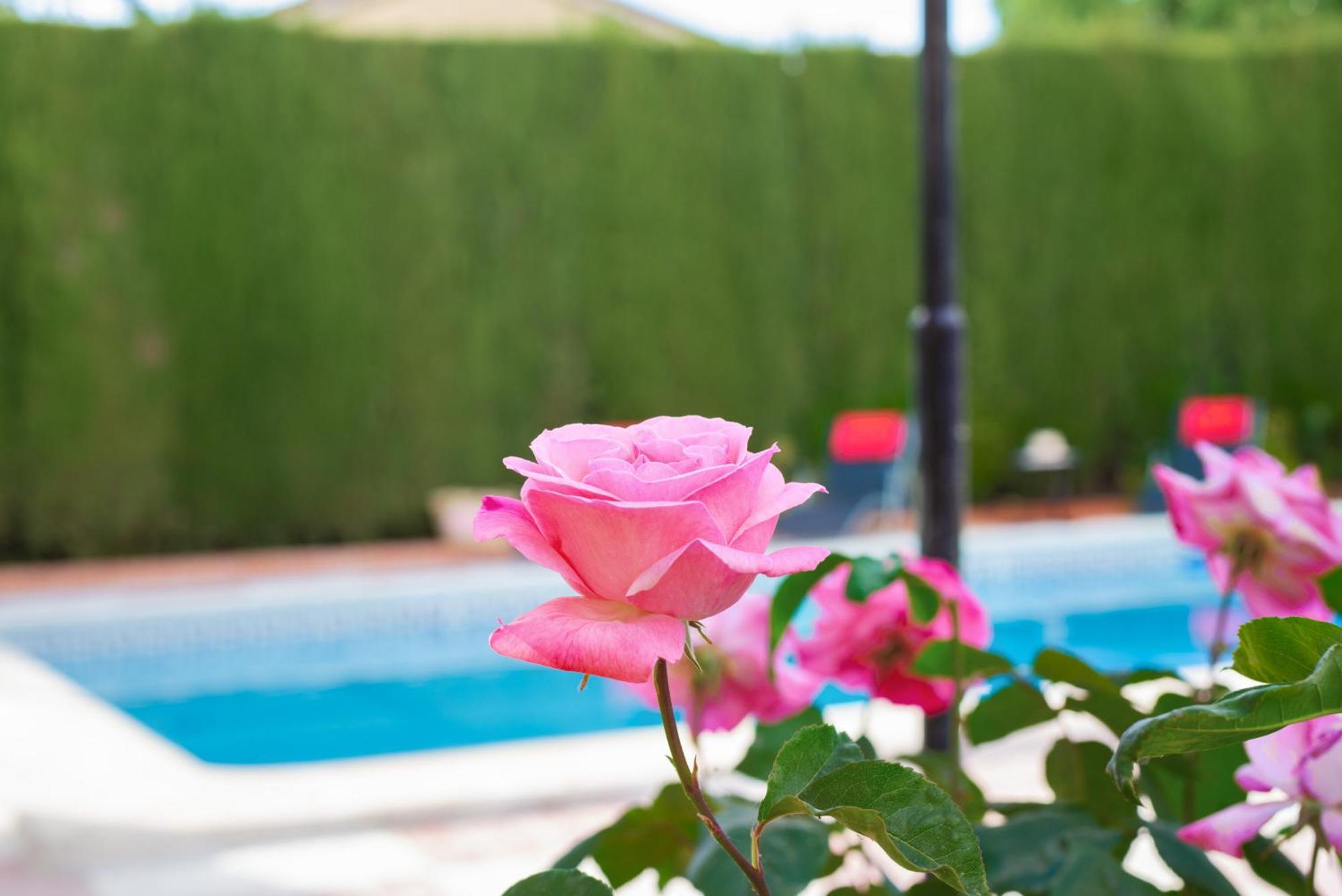Villa Granada Garden Deluxe Моначиль Экстерьер фото